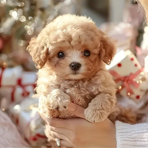 🐶Realistic puppy robot