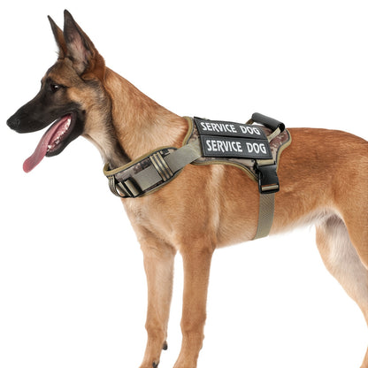 Pet harness
