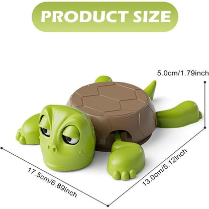 🥃Turtle Coaster with Fun Expressions