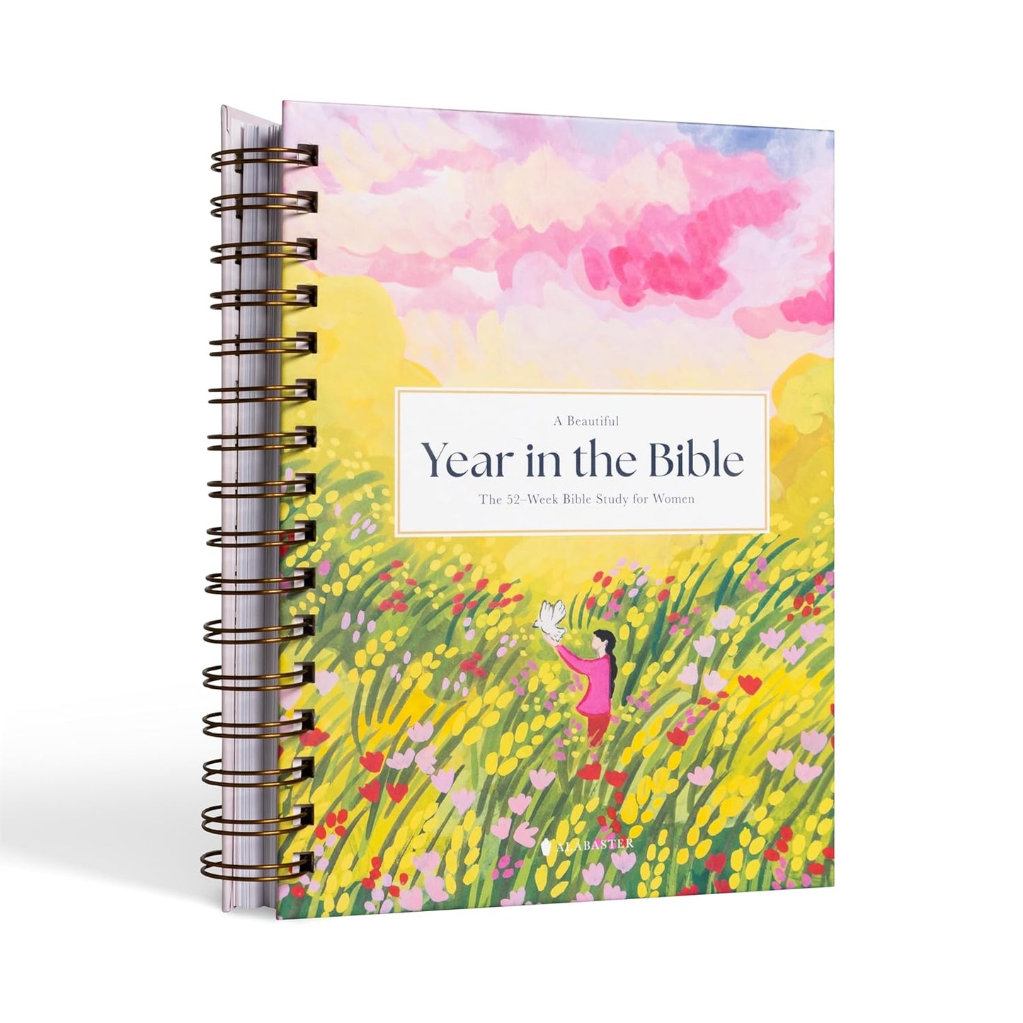 🔥LAST DAY 49% OFF -🙏🏼The Bible In A Year: A 52-Week Journey Through God's Word(✨Hardcover)