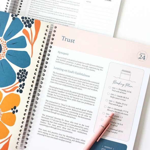 🔥LAST DAY 49% OFF -🙏🏼The Bible In A Year: A 52-Week Journey Through God's Word(✨Hardcover)