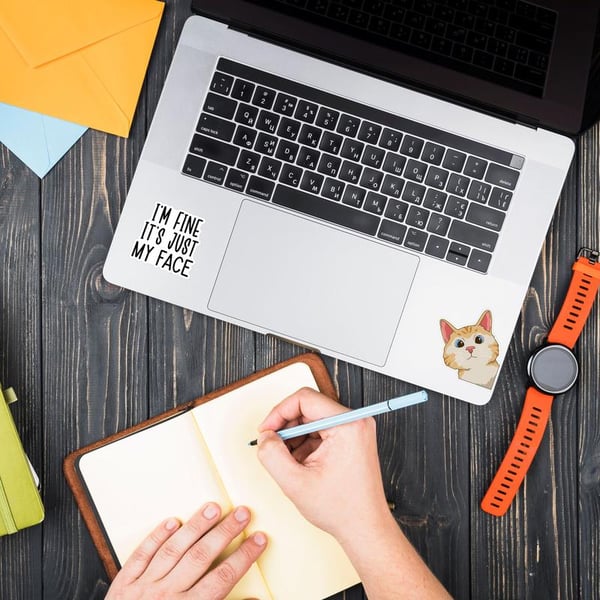 🔥Funny Saying Stickers